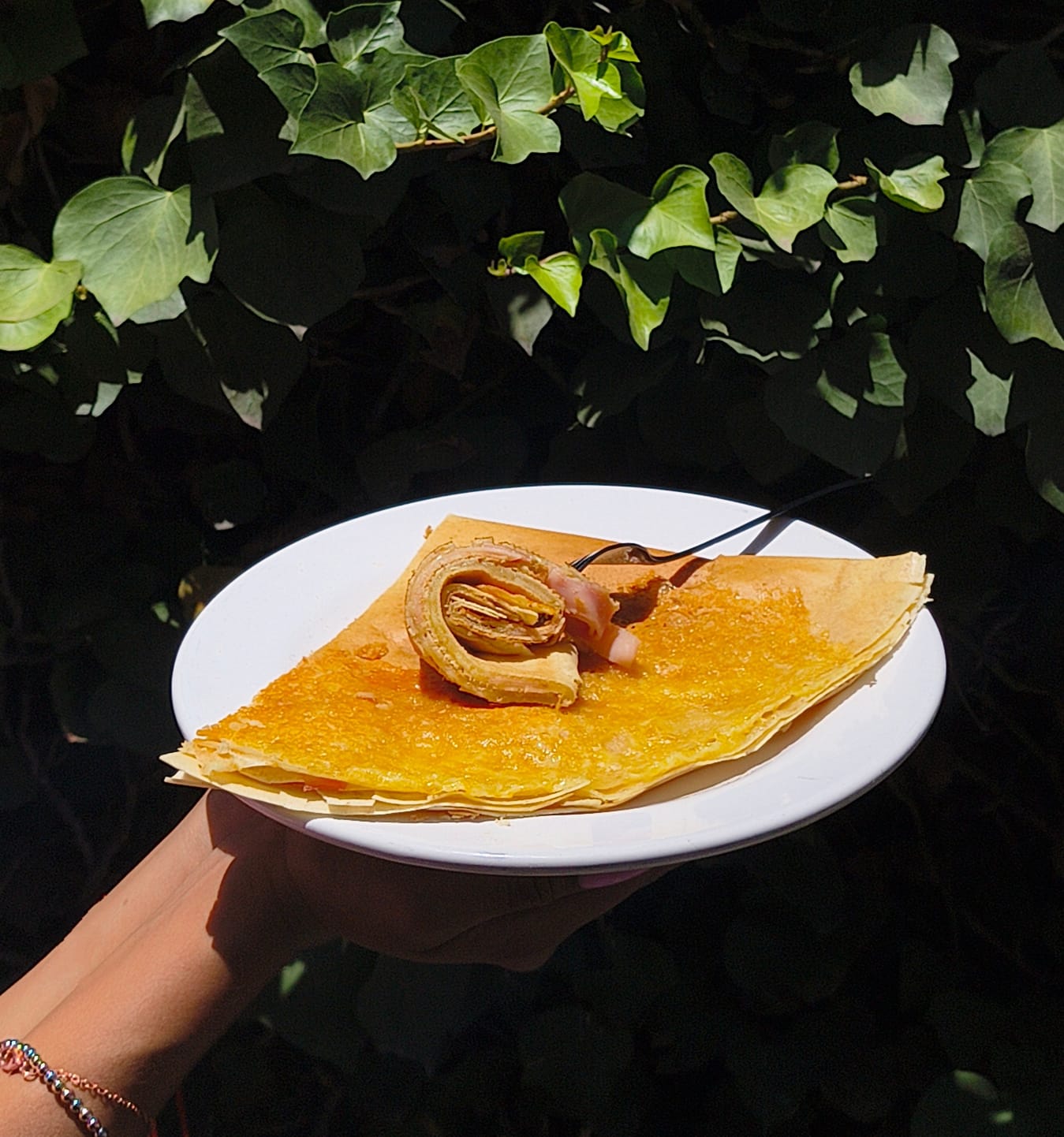 WhatsApp Image 2025-05-20 at 4.43.23 PM